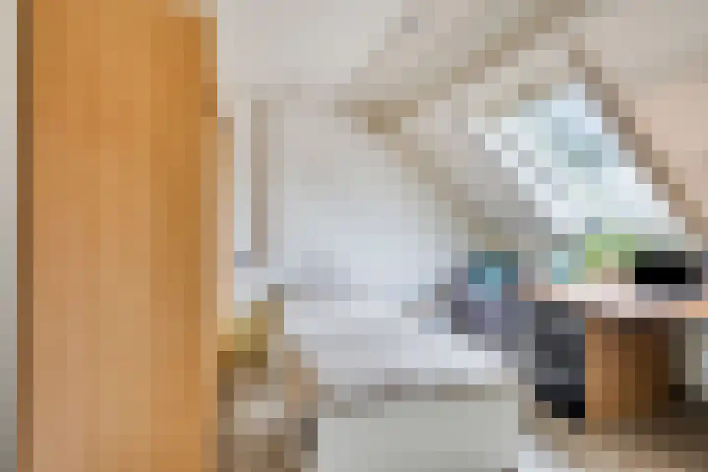 Koekoeksbloem 24 Roden thumbnail 30