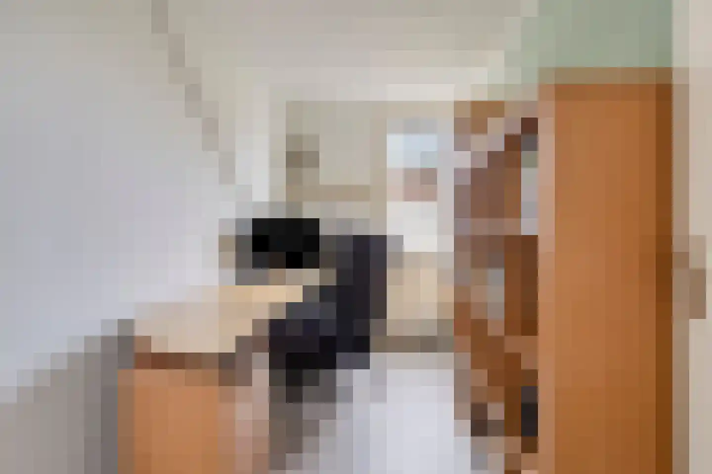 Koekoeksbloem 24 Roden thumbnail 32