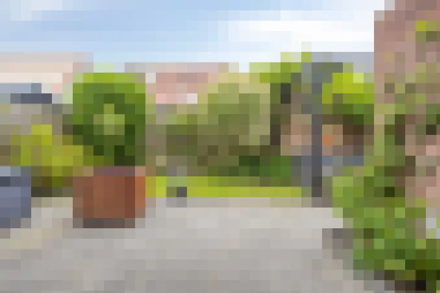 Koekoeksbloem 24 Roden thumbnail 37