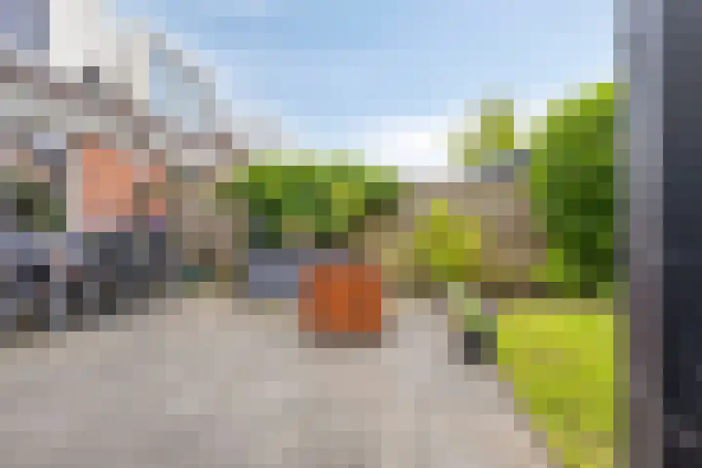 Koekoeksbloem 24 Roden thumbnail 38