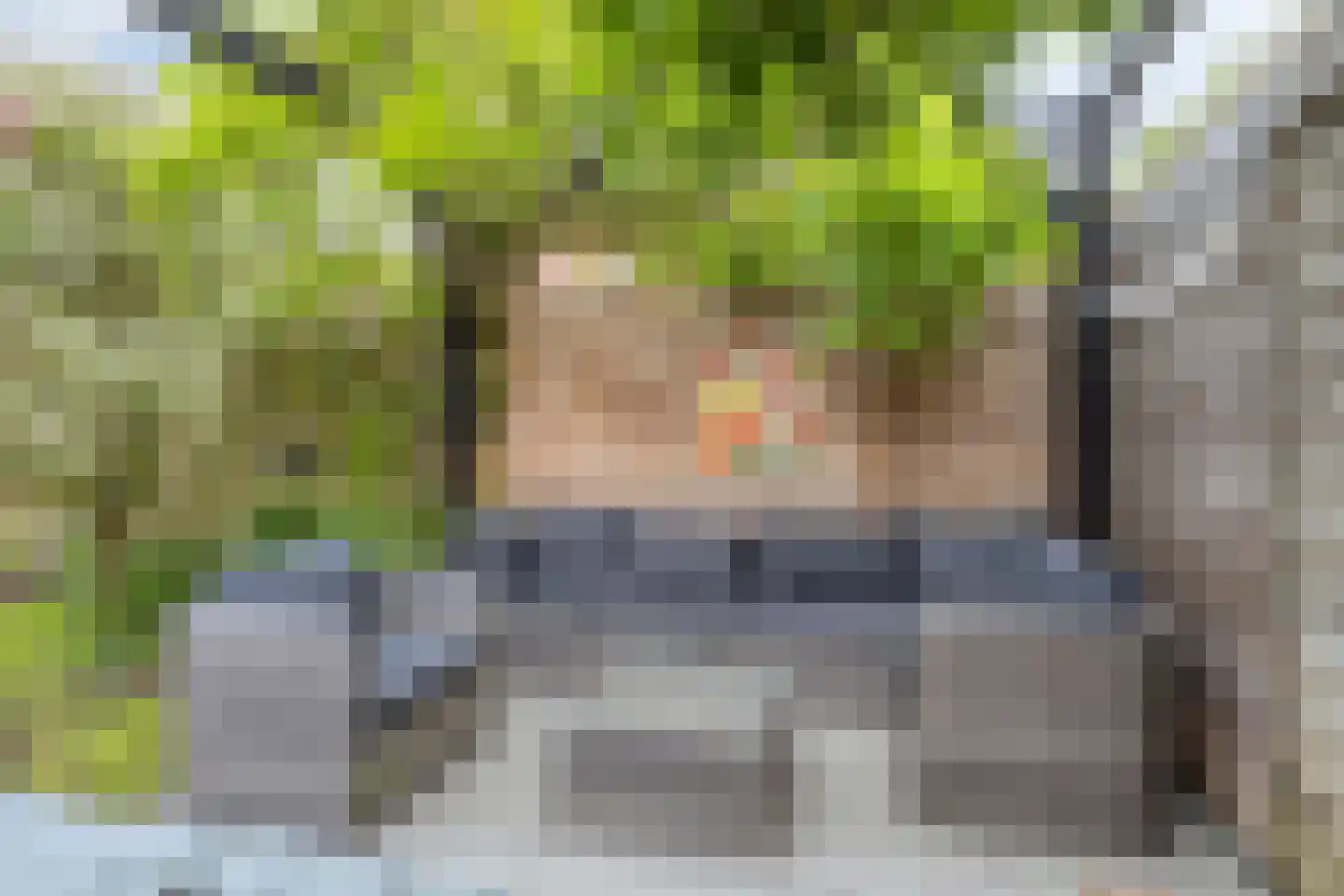 Koekoeksbloem 24 Roden thumbnail 40