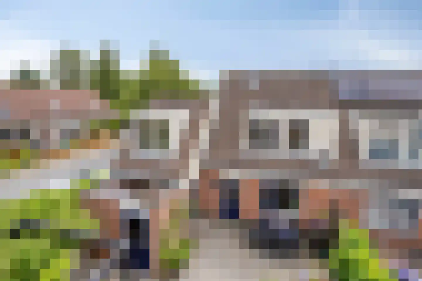 Koekoeksbloem 24 Roden thumbnail 41