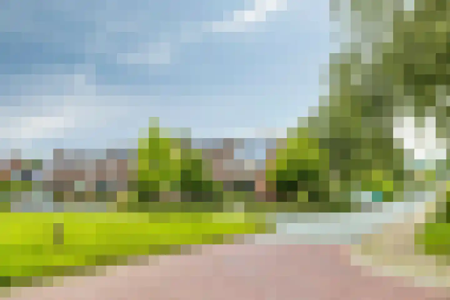Koekoeksbloem 24 Roden thumbnail 44