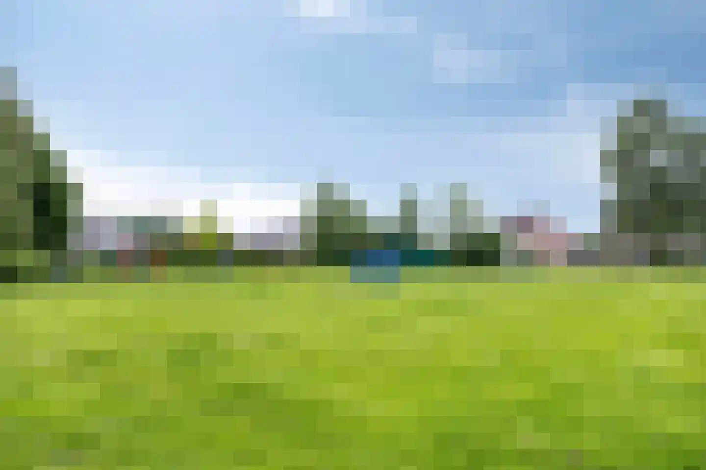 Koekoeksbloem 24 Roden thumbnail 45