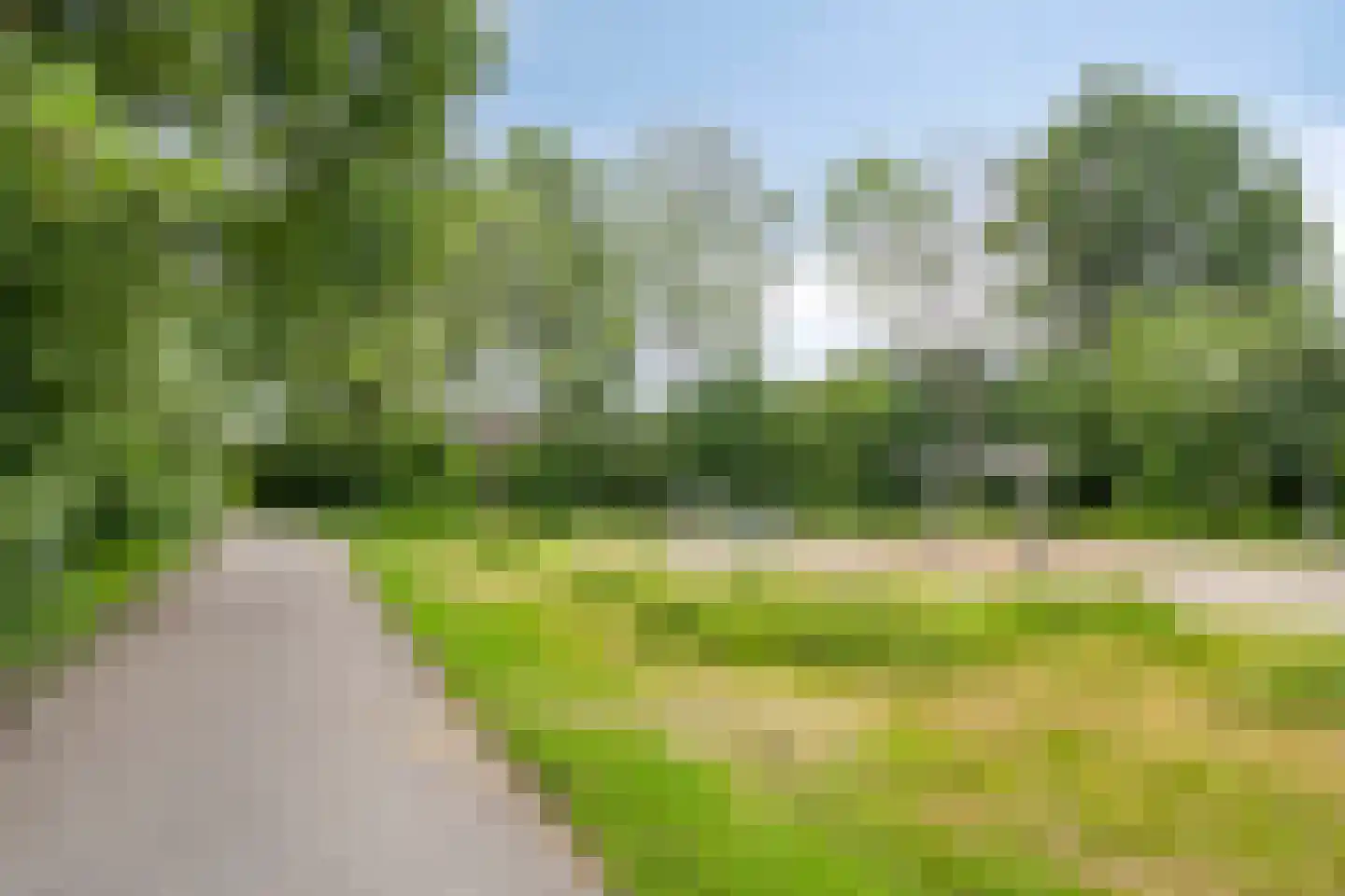 Koekoeksbloem 24 Roden thumbnail 46