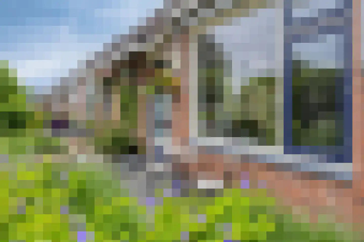 Koekoeksbloem 24 Roden thumbnail 6