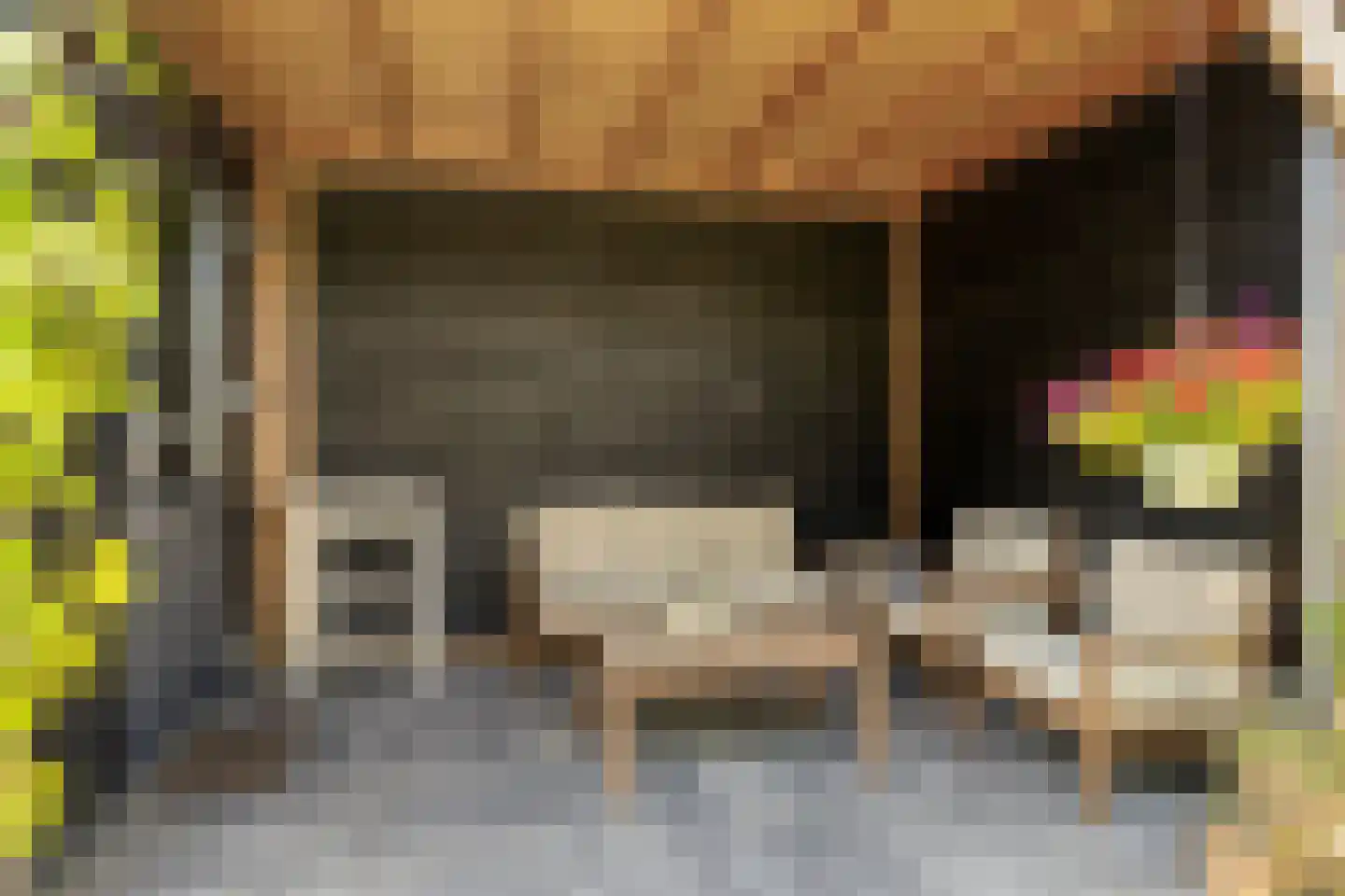 Koekoeksbloem 33 Bergen op Zoom thumbnail 30