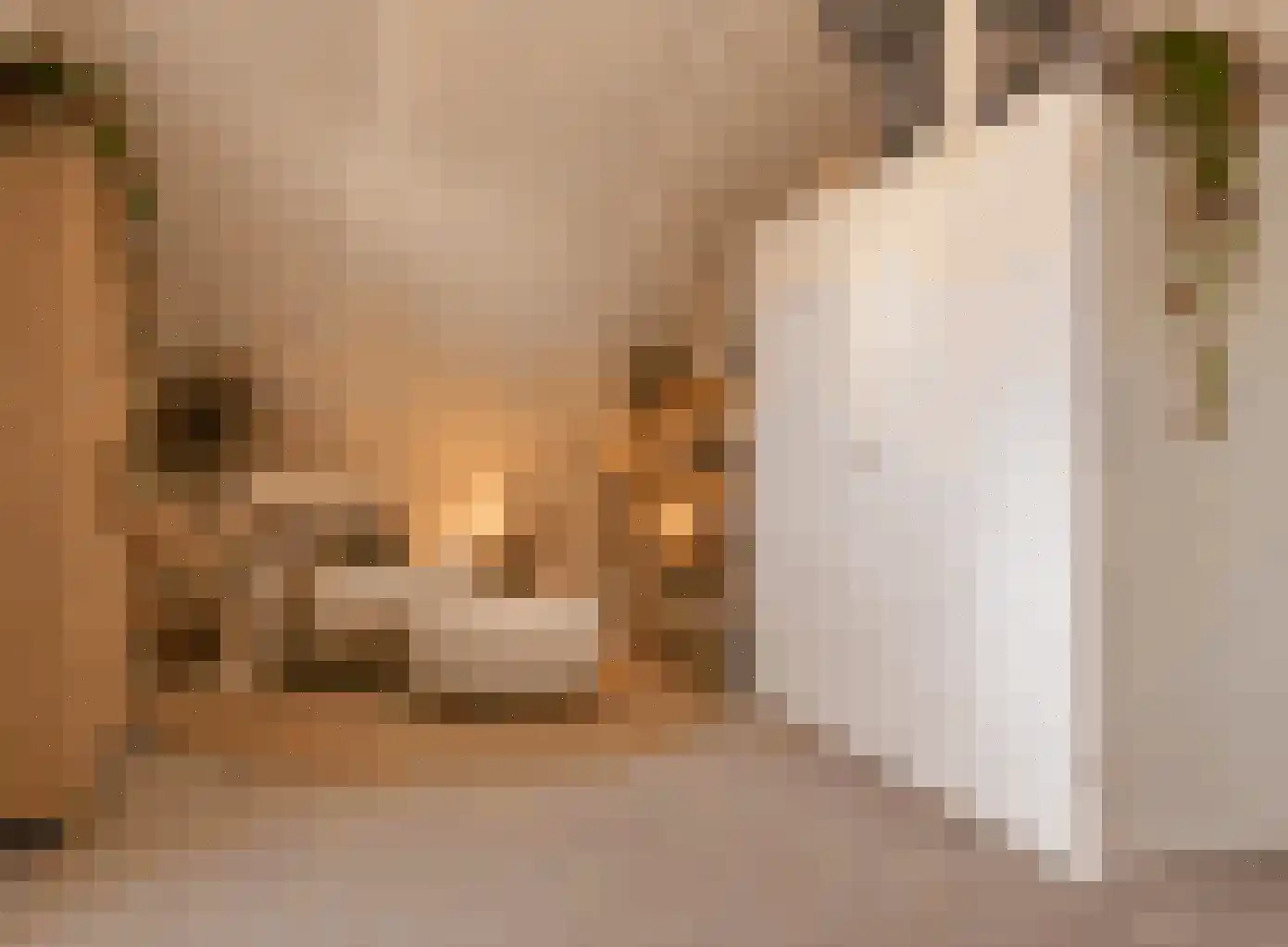 Koekoeksbloem 33 Bergen op Zoom thumbnail 31