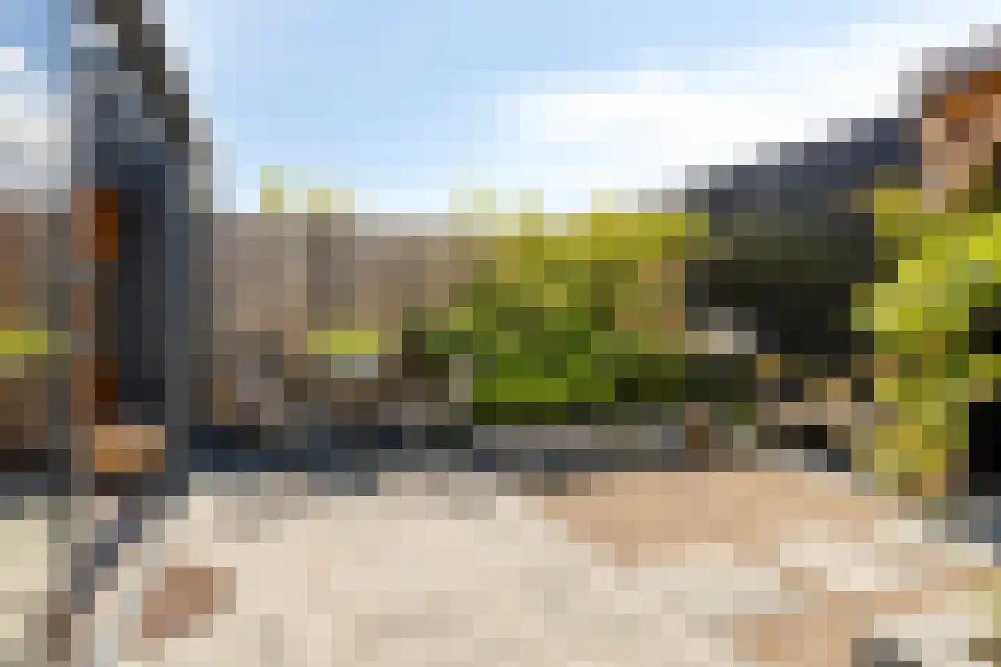 Koekoeksbloem 33 Bergen op Zoom thumbnail 31