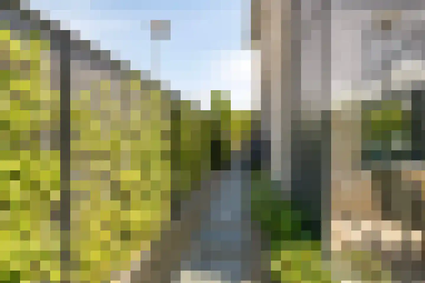 Koekoeksbloem 33 Bergen op Zoom thumbnail 32