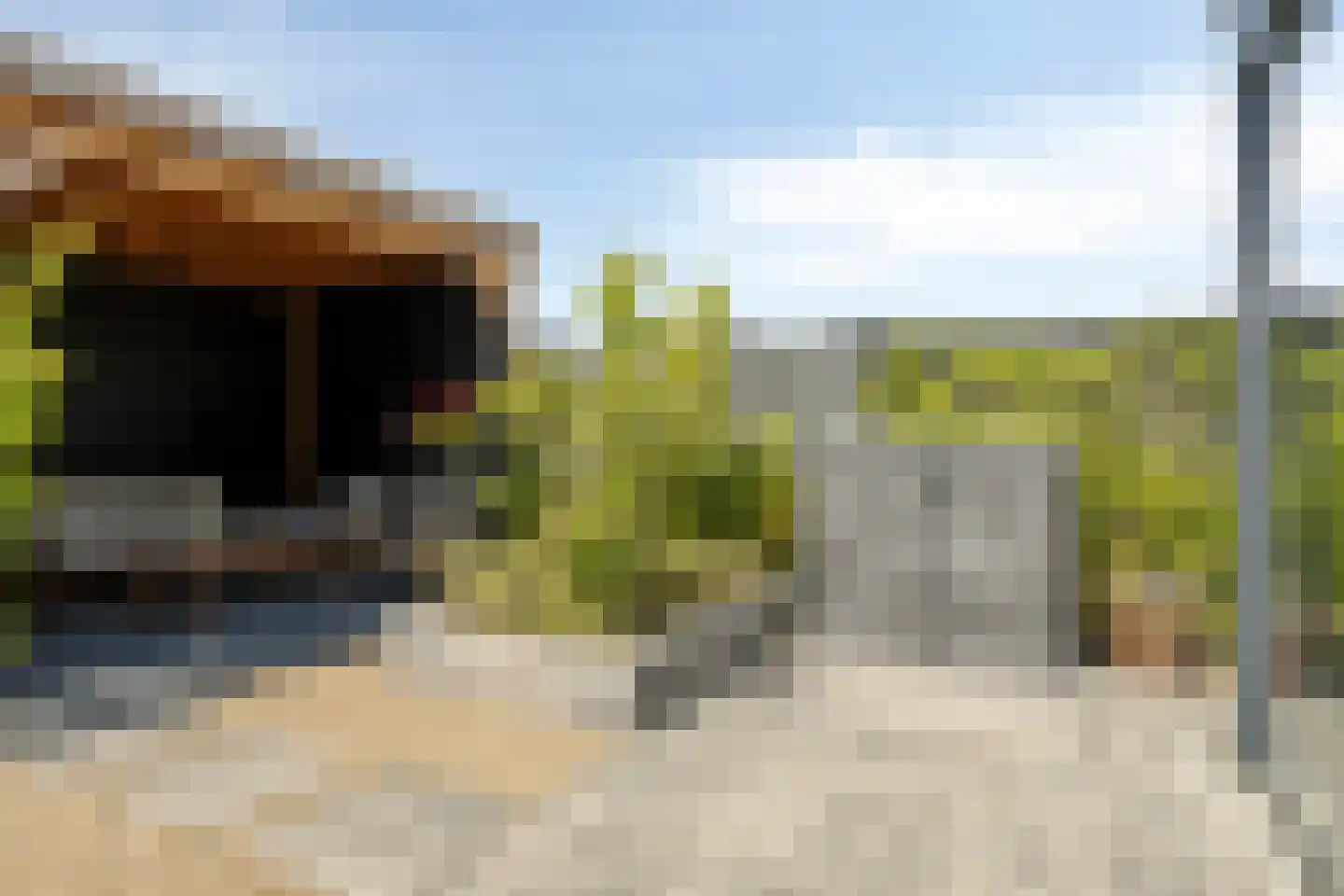 Koekoeksbloem 33 Bergen op Zoom thumbnail 33
