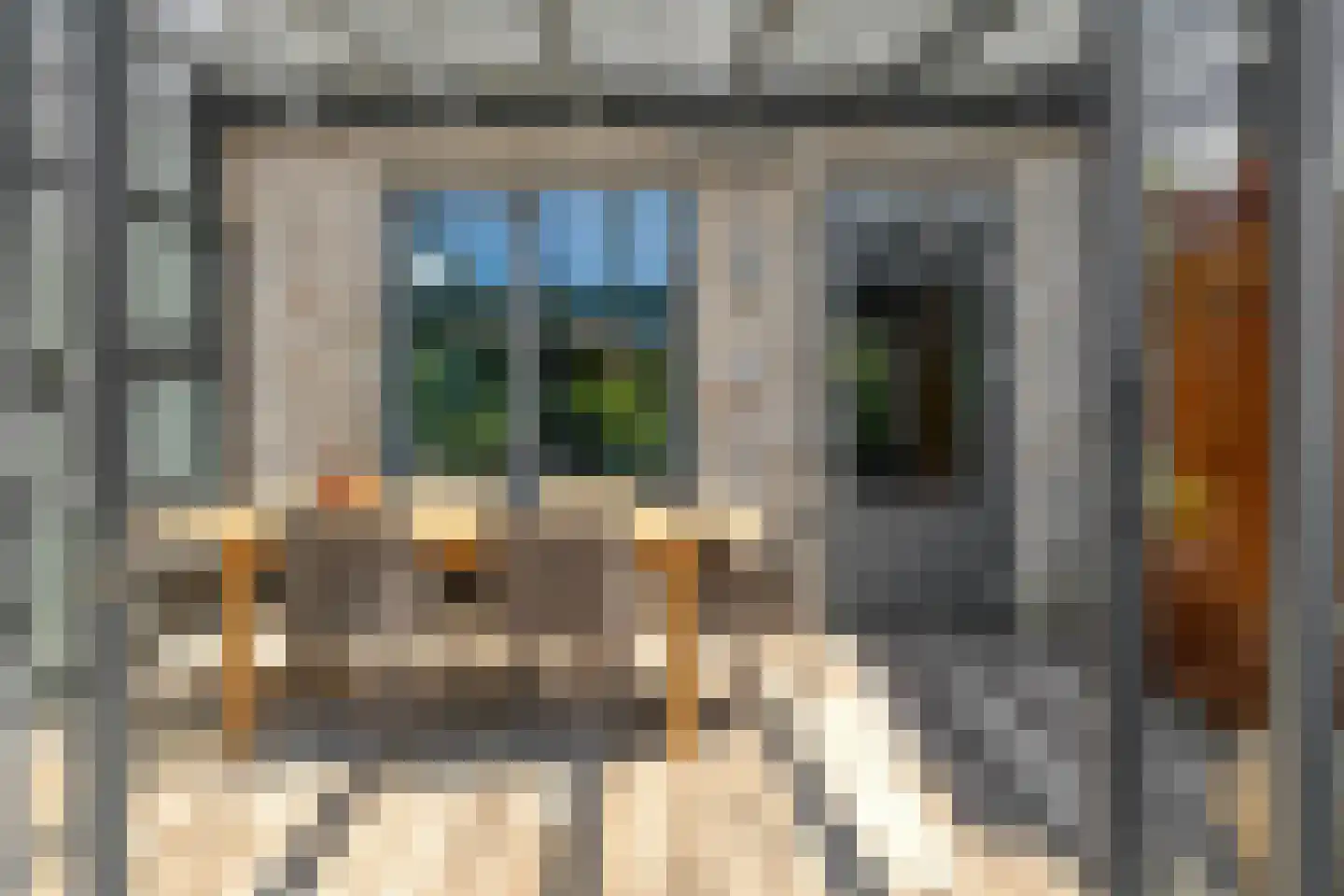 Koekoeksbloem 33 Bergen op Zoom thumbnail 35