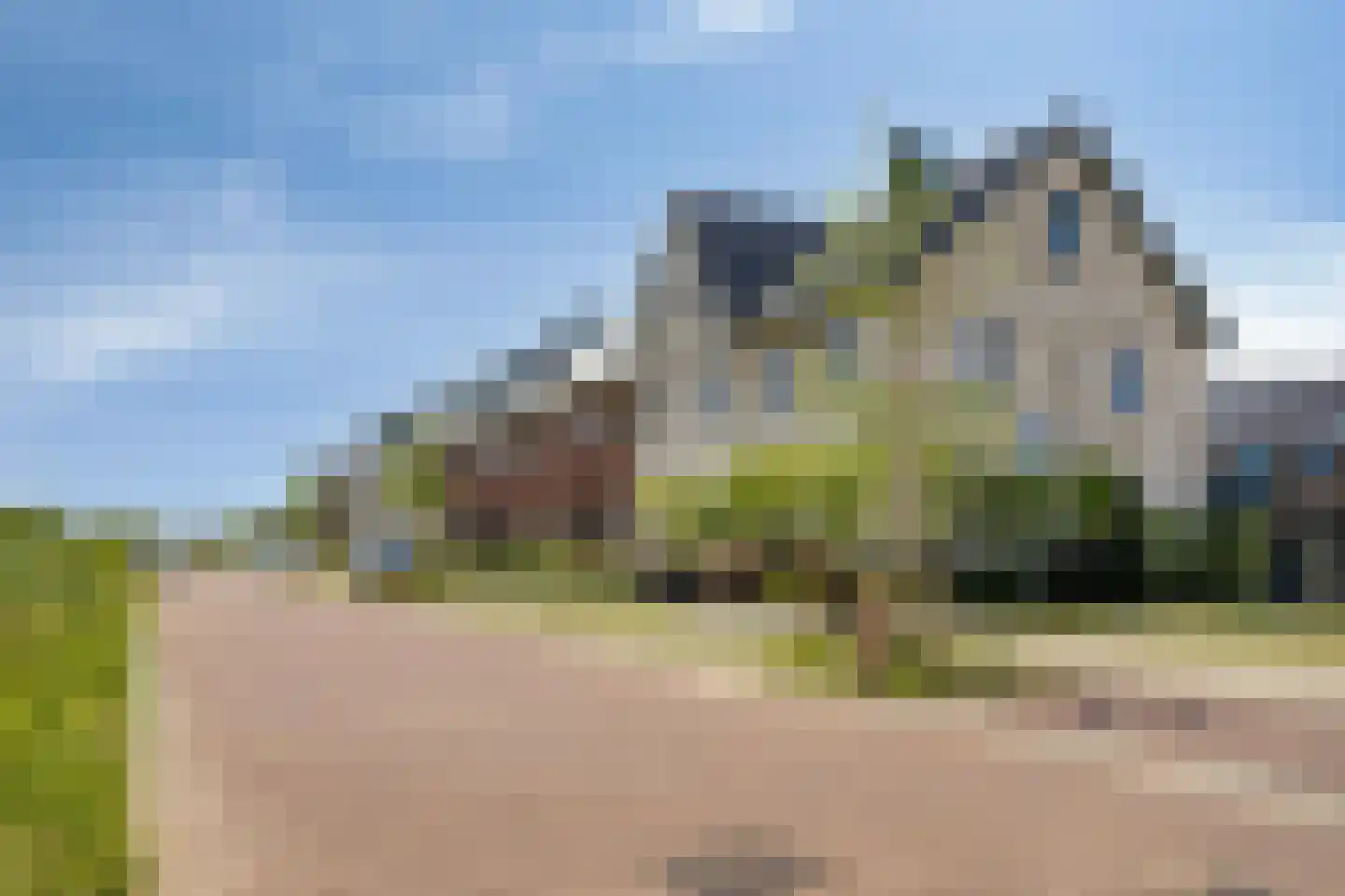 Koekoeksbloem 33 Bergen op Zoom thumbnail 36
