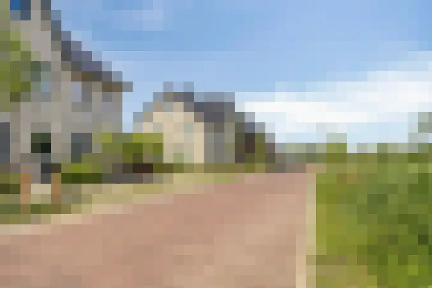 Koekoeksbloem 33 Bergen op Zoom thumbnail 37