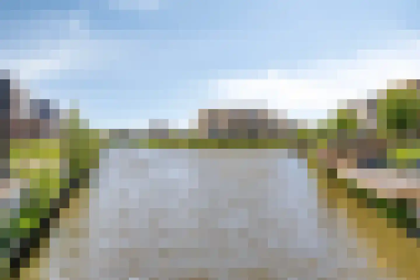 Koekoeksbloem 33 Bergen op Zoom thumbnail 38
