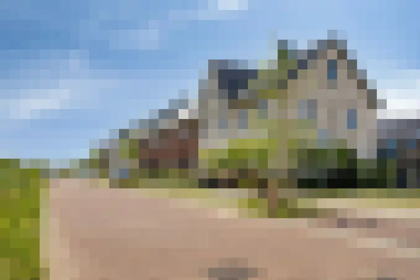 Koekoeksbloem 33 Bergen op Zoom thumbnail 39