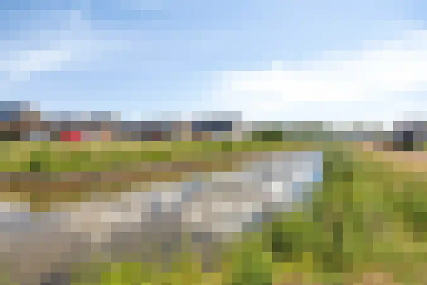 Koekoeksbloem 33 Bergen op Zoom thumbnail 39