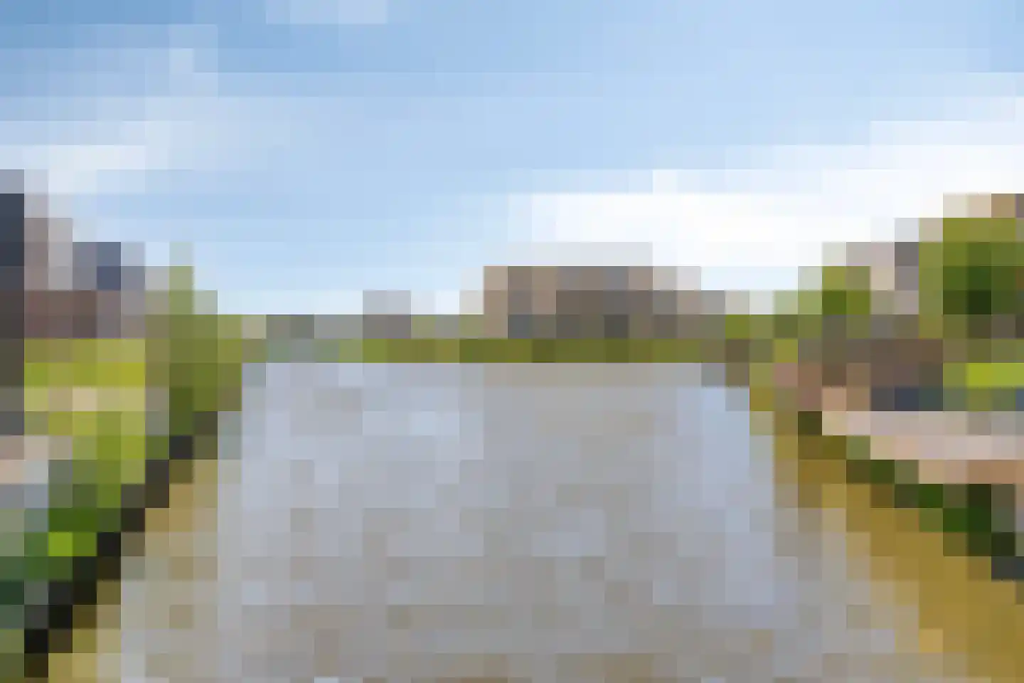 Koekoeksbloem 33 Bergen op Zoom thumbnail 41