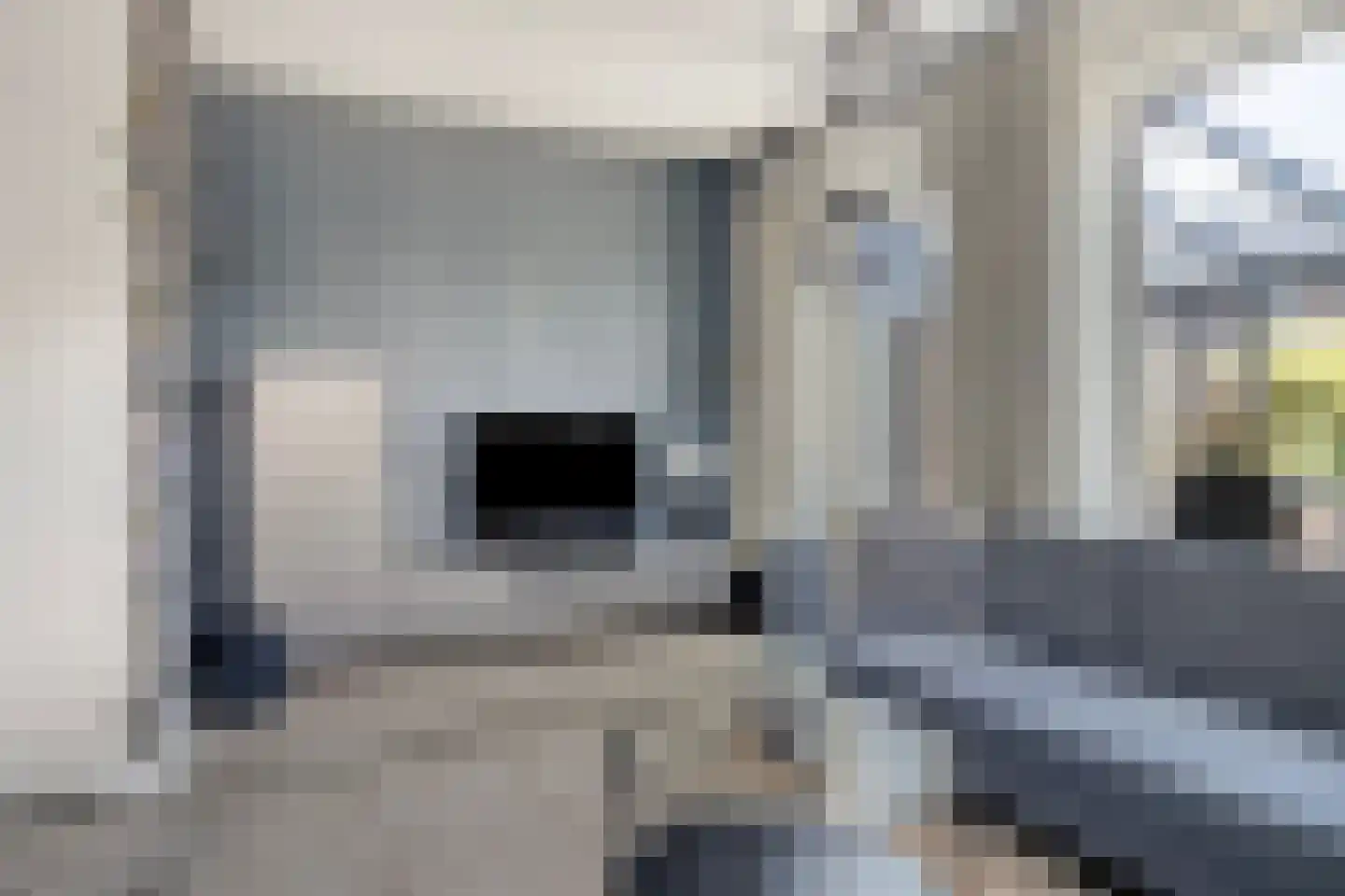 Koekoeksbloem 33 Bergen op Zoom thumbnail 8