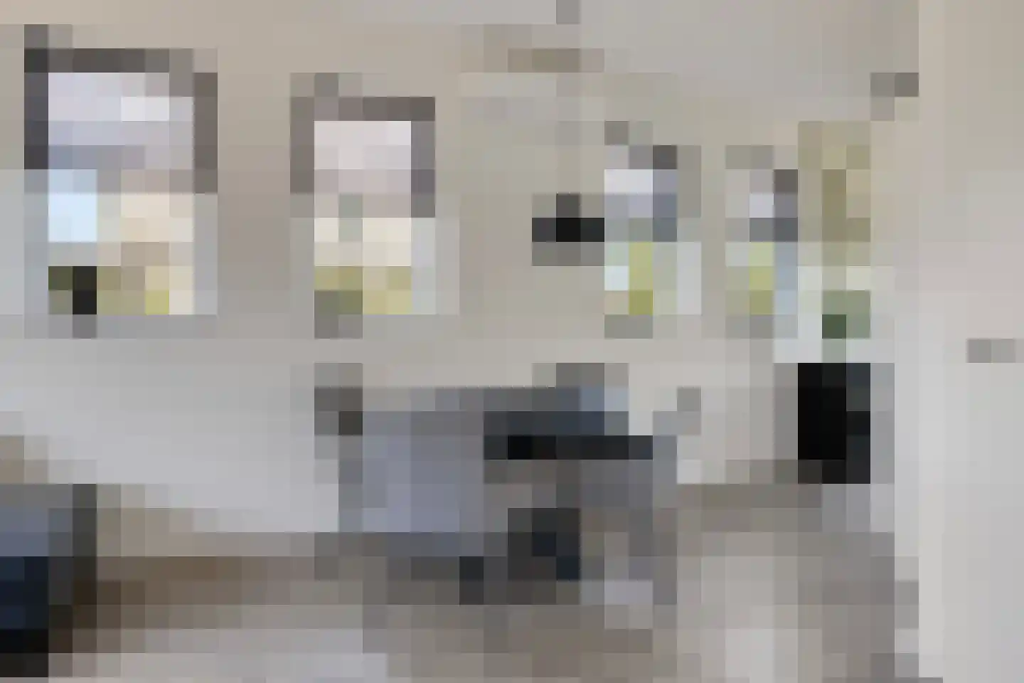 Koekoeksbloem 33 Bergen op Zoom thumbnail 9