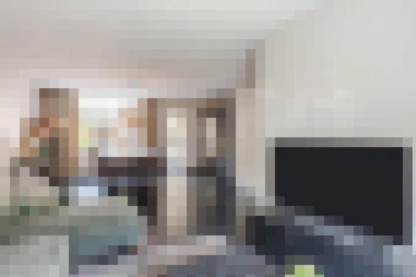 Koekoeksbloem 37 Udenhout thumbnail 10
