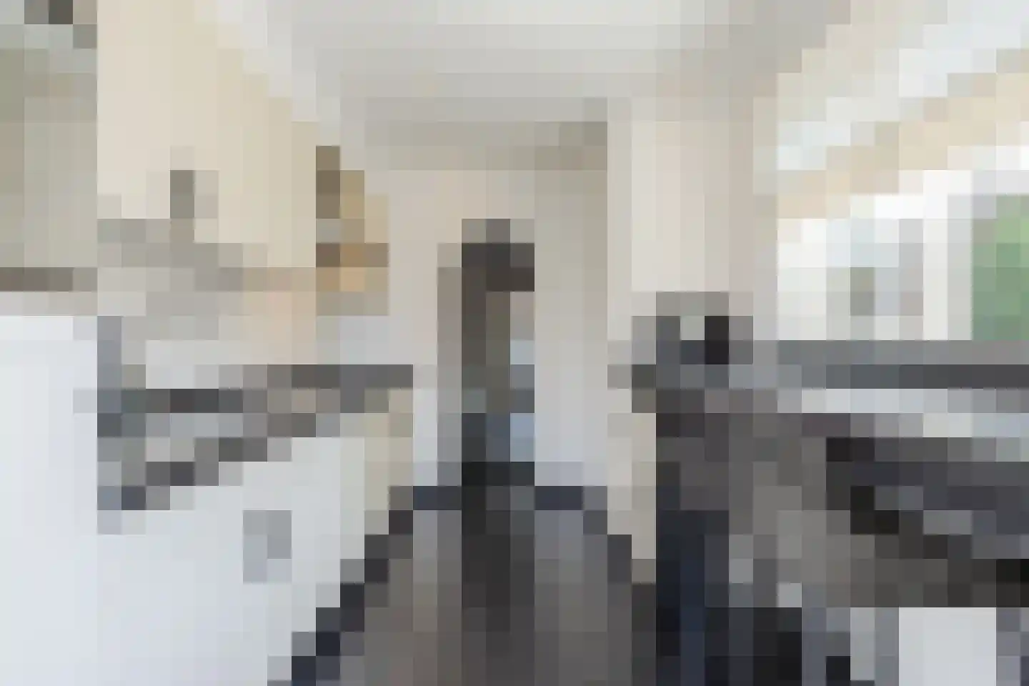 Koekoeksbloem 37 Udenhout thumbnail 13