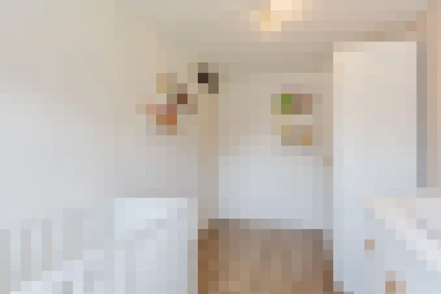Koekoeksbloem 37 Udenhout thumbnail 16