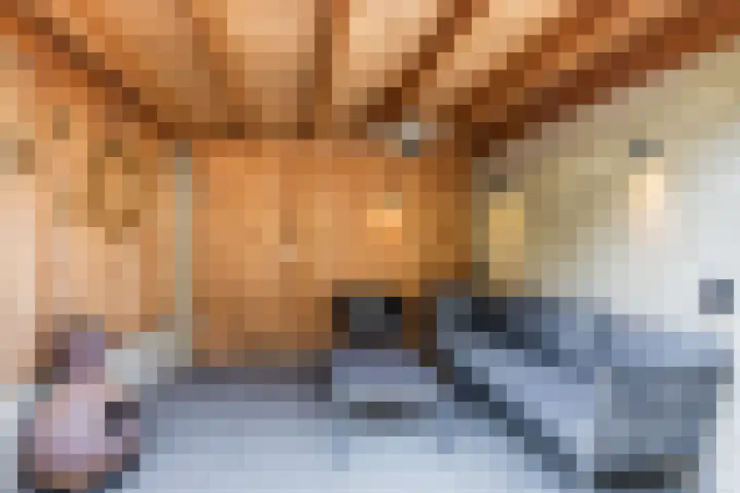 Koekoeksbloem 37 Udenhout thumbnail 25