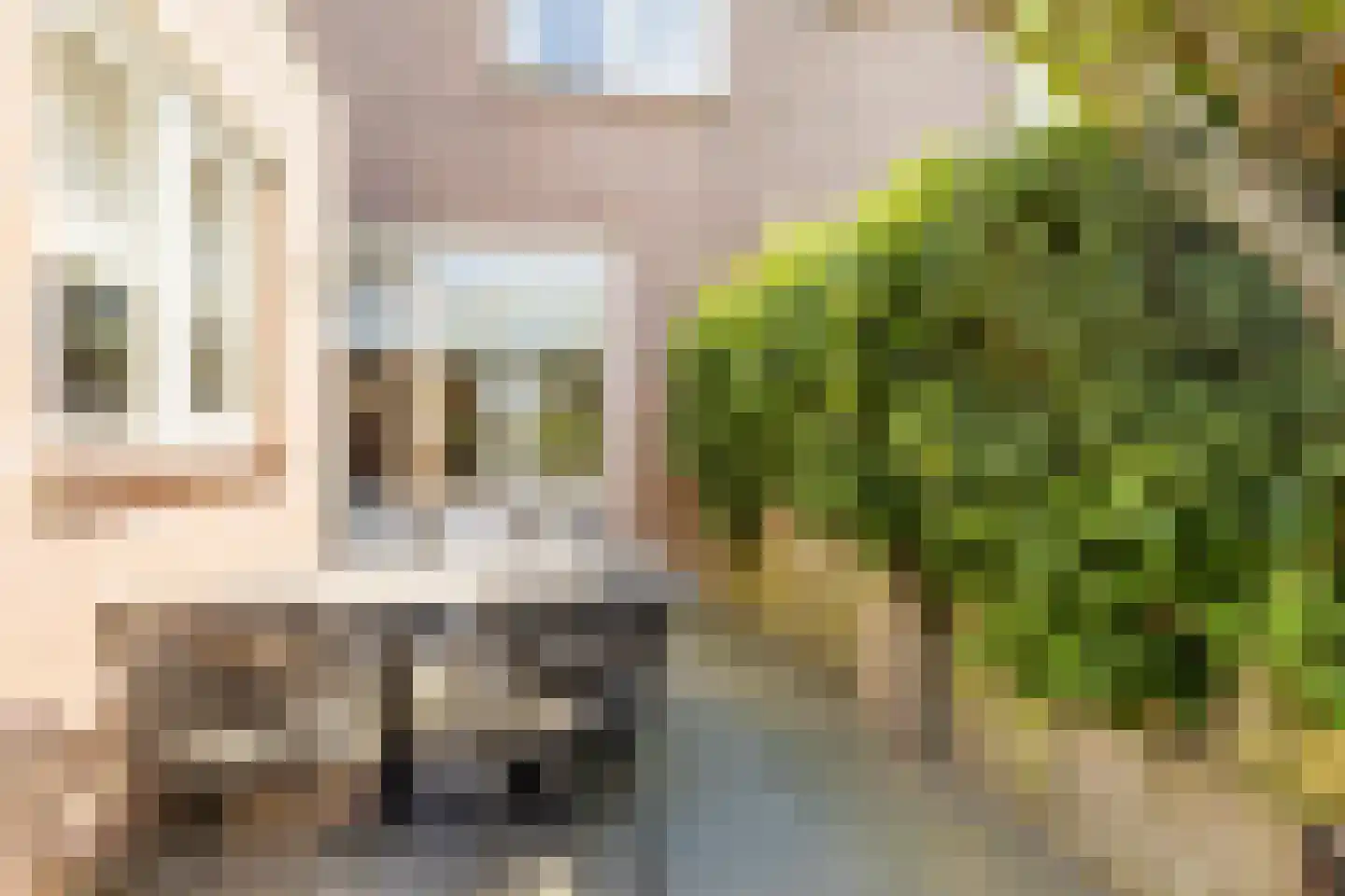 Koekoeksbloem 37 Udenhout thumbnail 29
