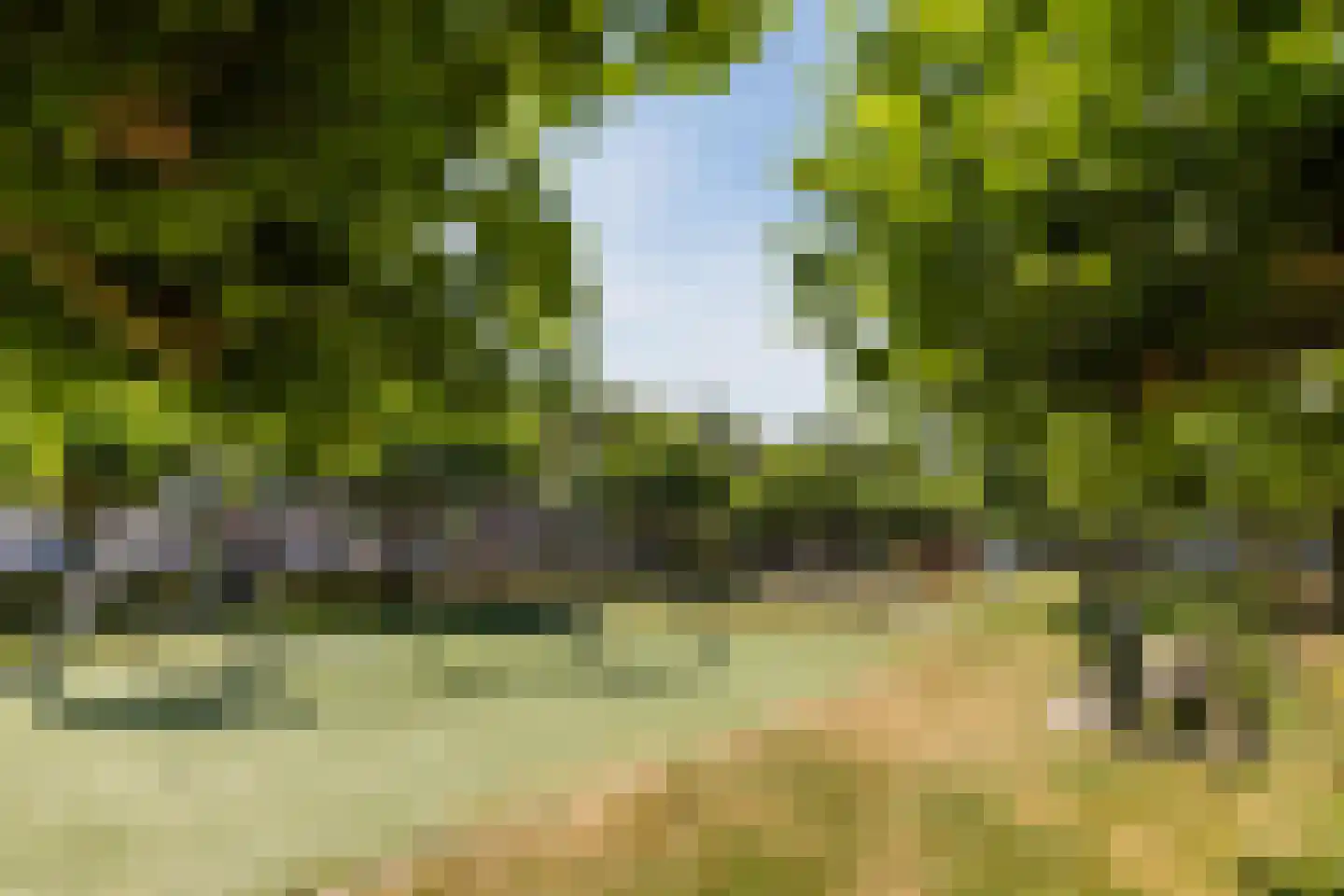 Koekoeksbloem 37 Udenhout thumbnail 31