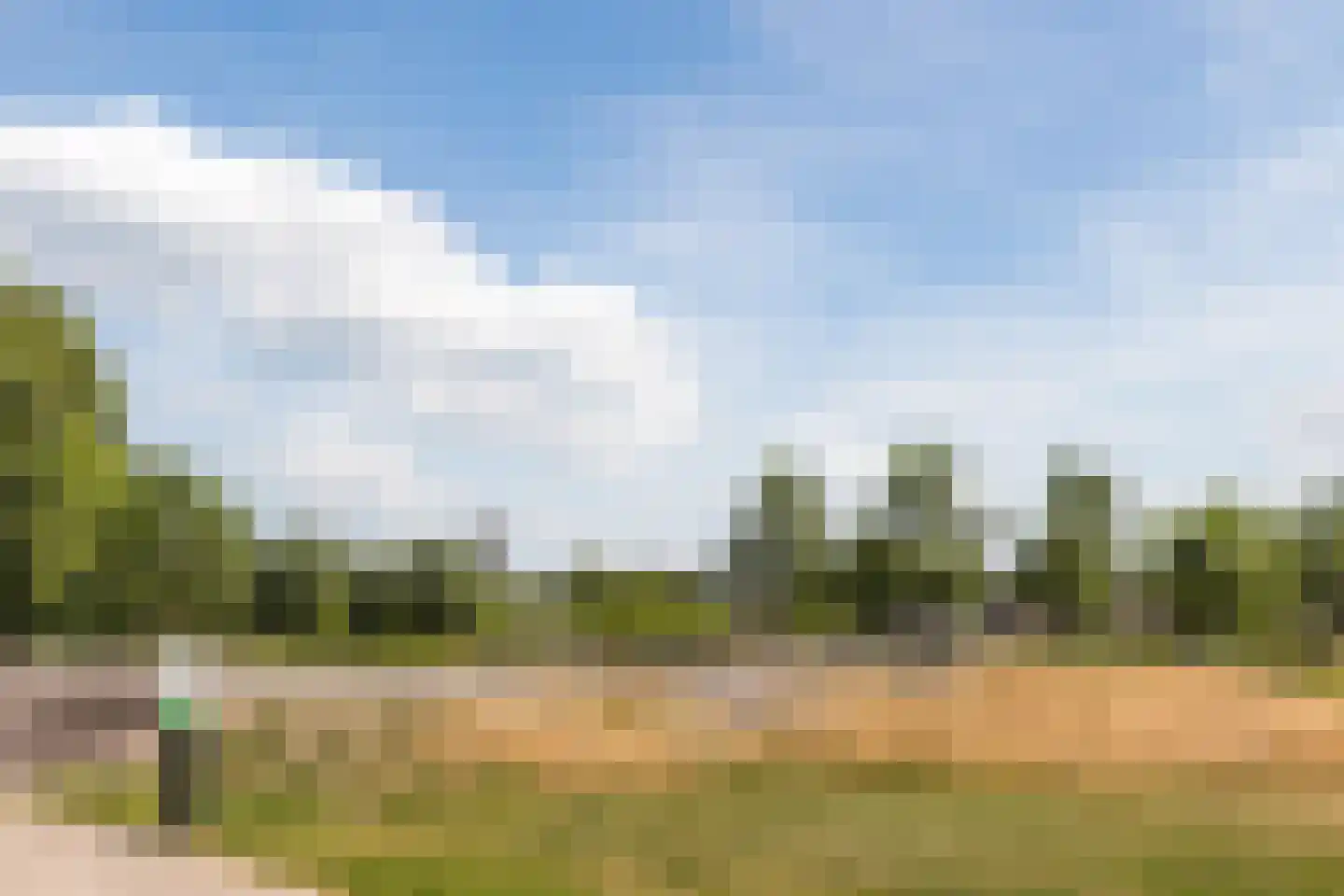 Koekoeksbloem 37 Udenhout thumbnail 33