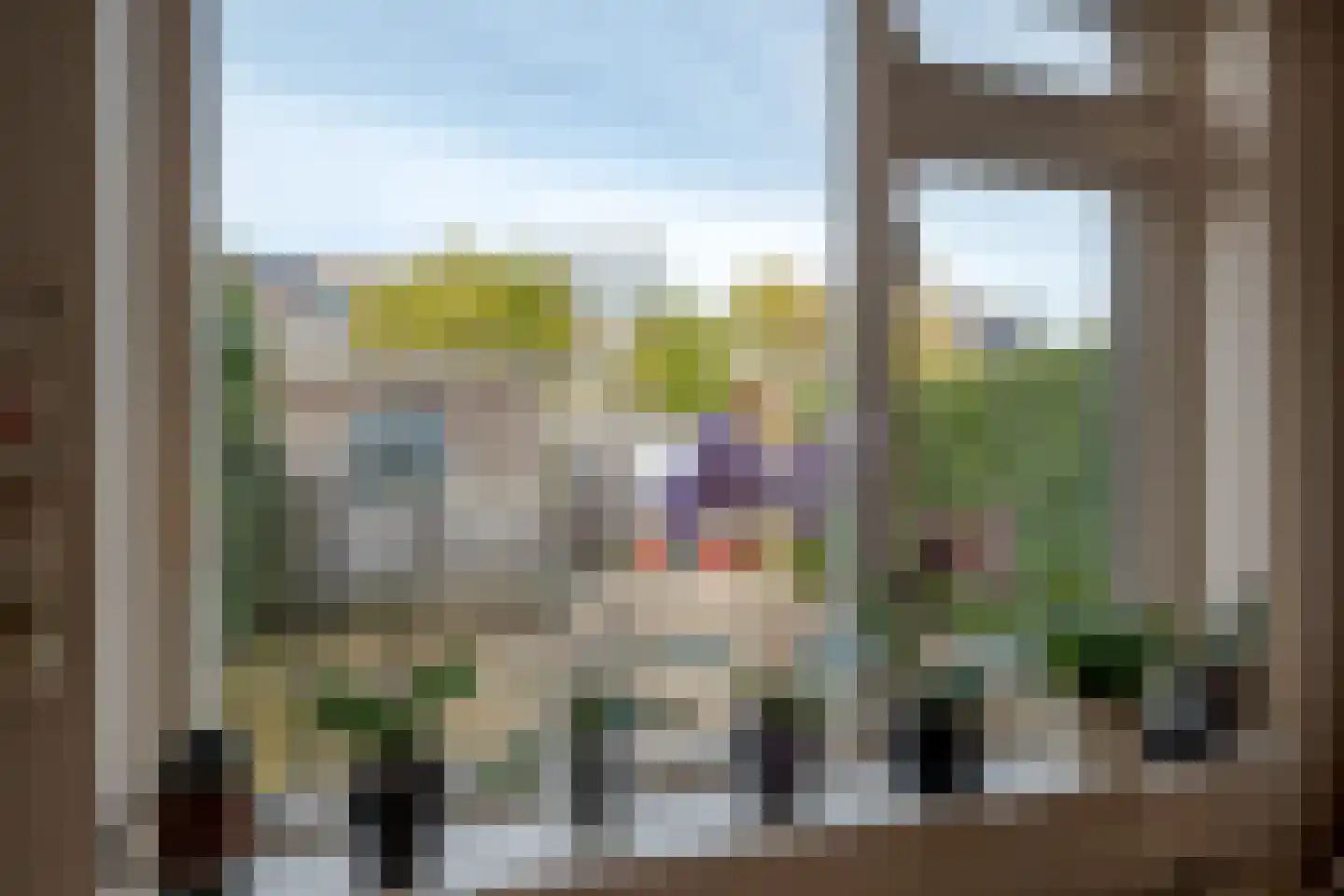 Koekoeksbloem 4 Roden thumbnail 20