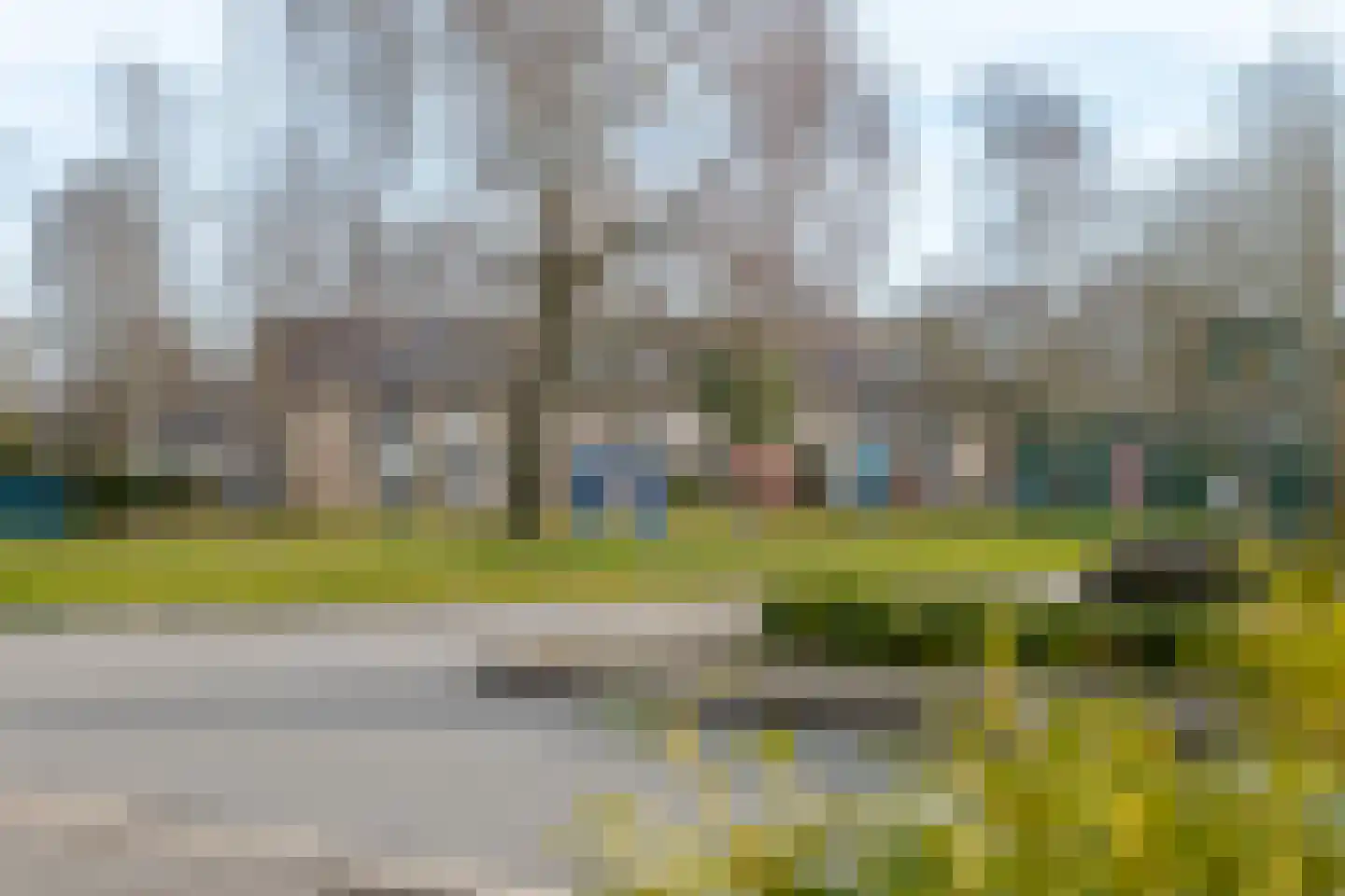 Koekoeksbloem 4 Roden thumbnail 4