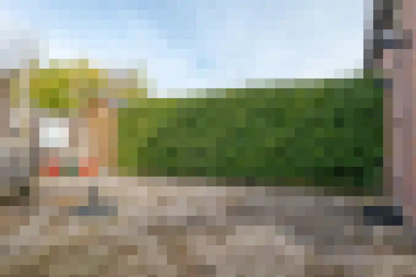 Koekoeksbloem 4 Roden thumbnail 42