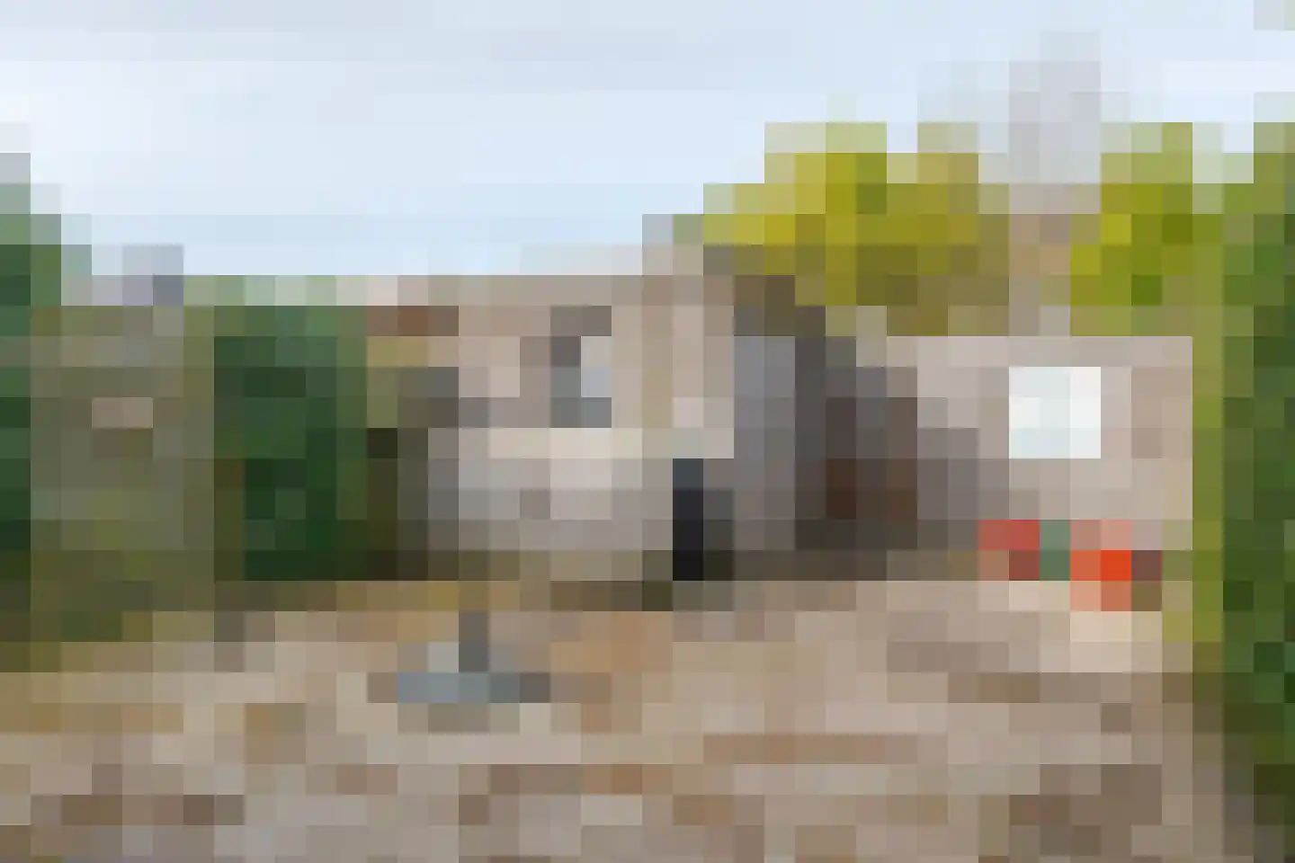 Koekoeksbloem 4 Roden thumbnail 43