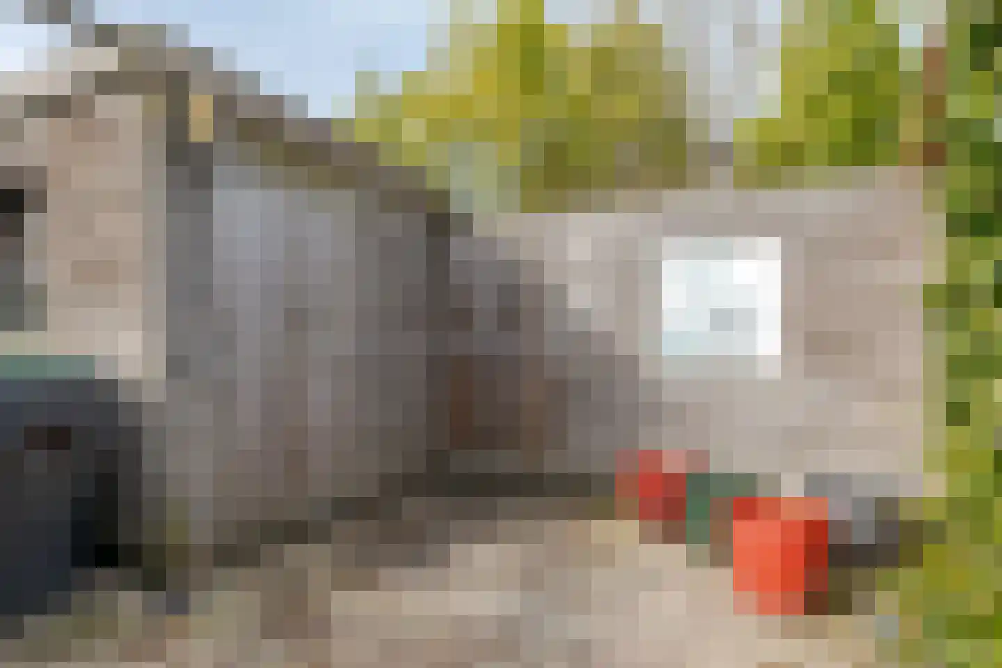 Koekoeksbloem 4 Roden thumbnail 44