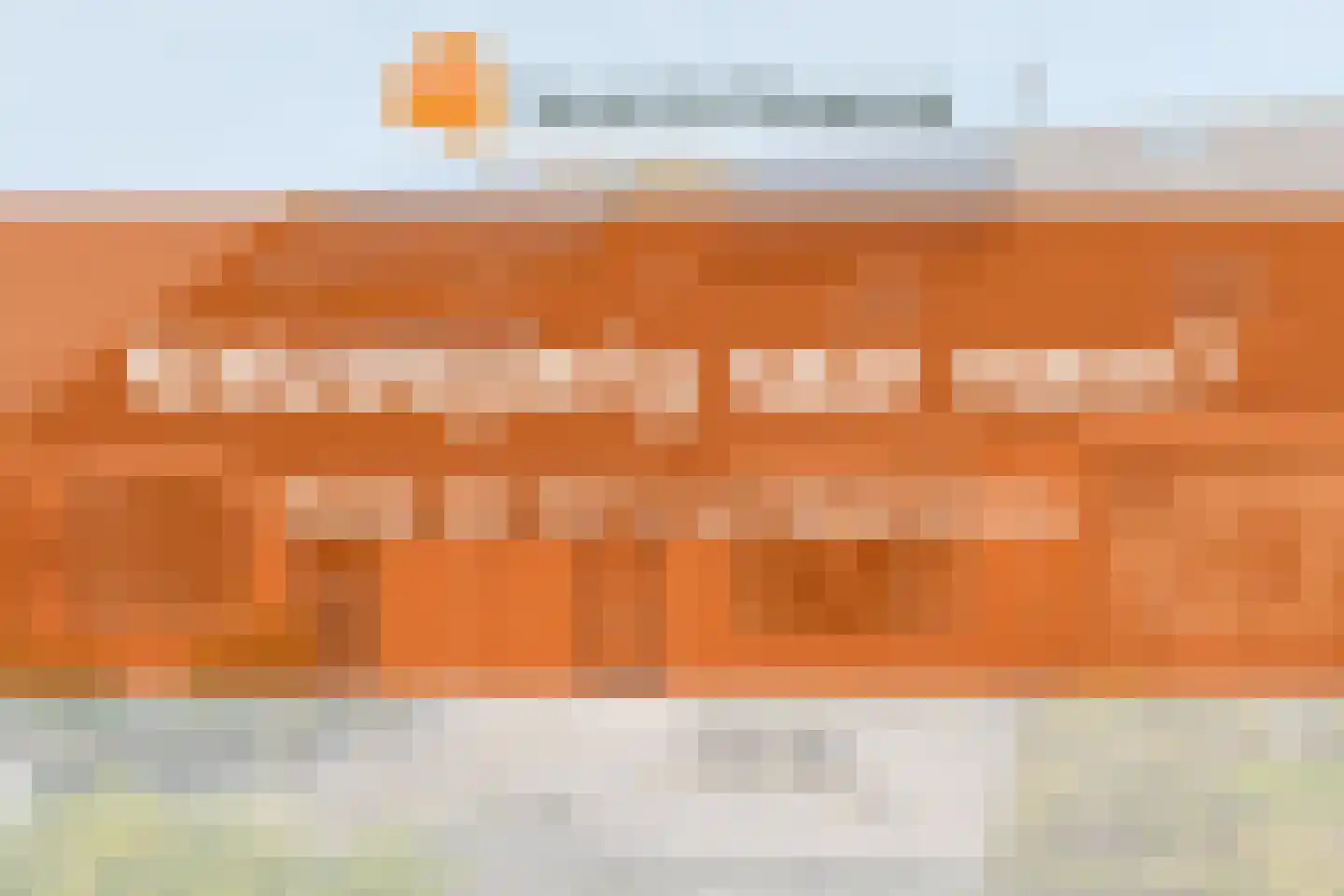 Koekoeksbloem 4 Roden thumbnail 5