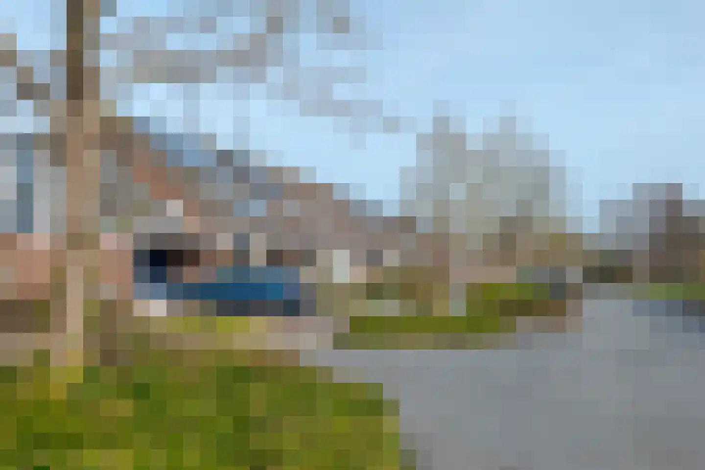 Koekoeksbloem 4 Roden thumbnail 6