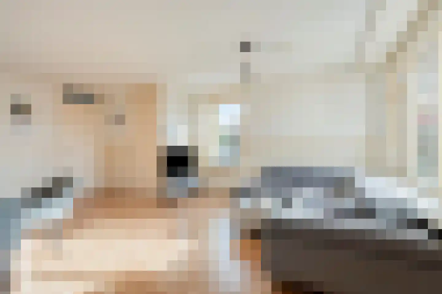 Koekoeksbloem 48 Opmeer thumbnail 13