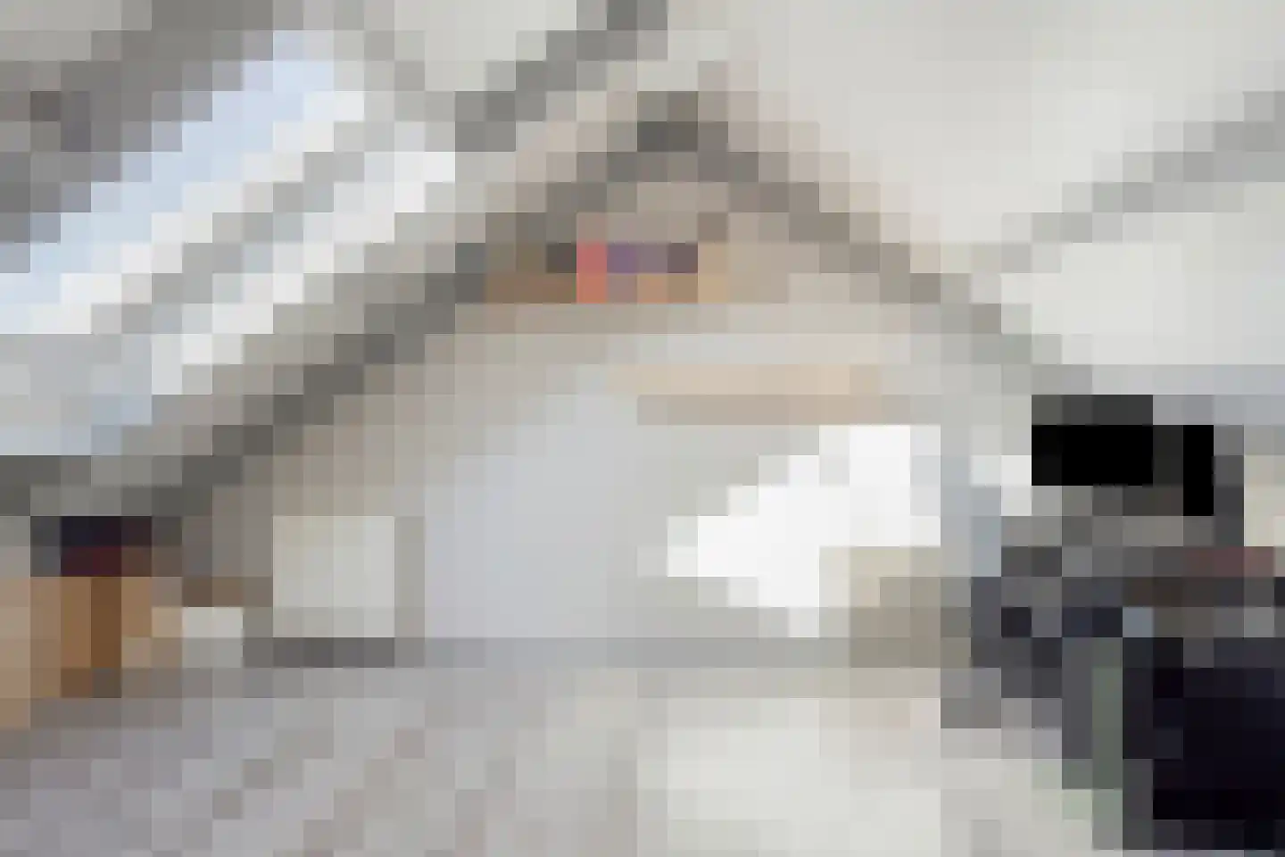 Koekoeksbloem 48 Opmeer thumbnail 34