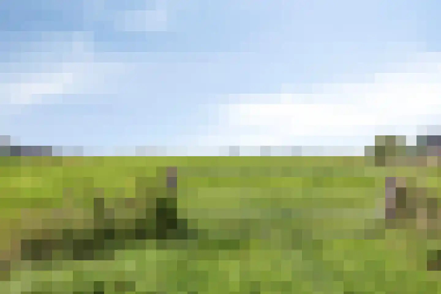 Koekoeksbloem 48 Opmeer thumbnail 45