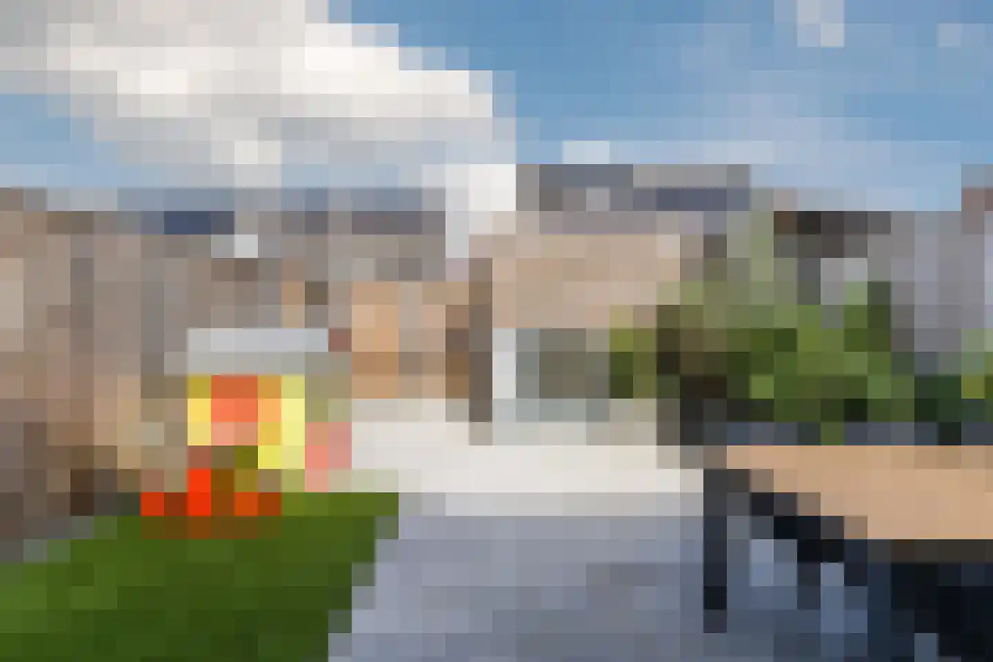 Koekoeksbloem 5 Dongen thumbnail 23