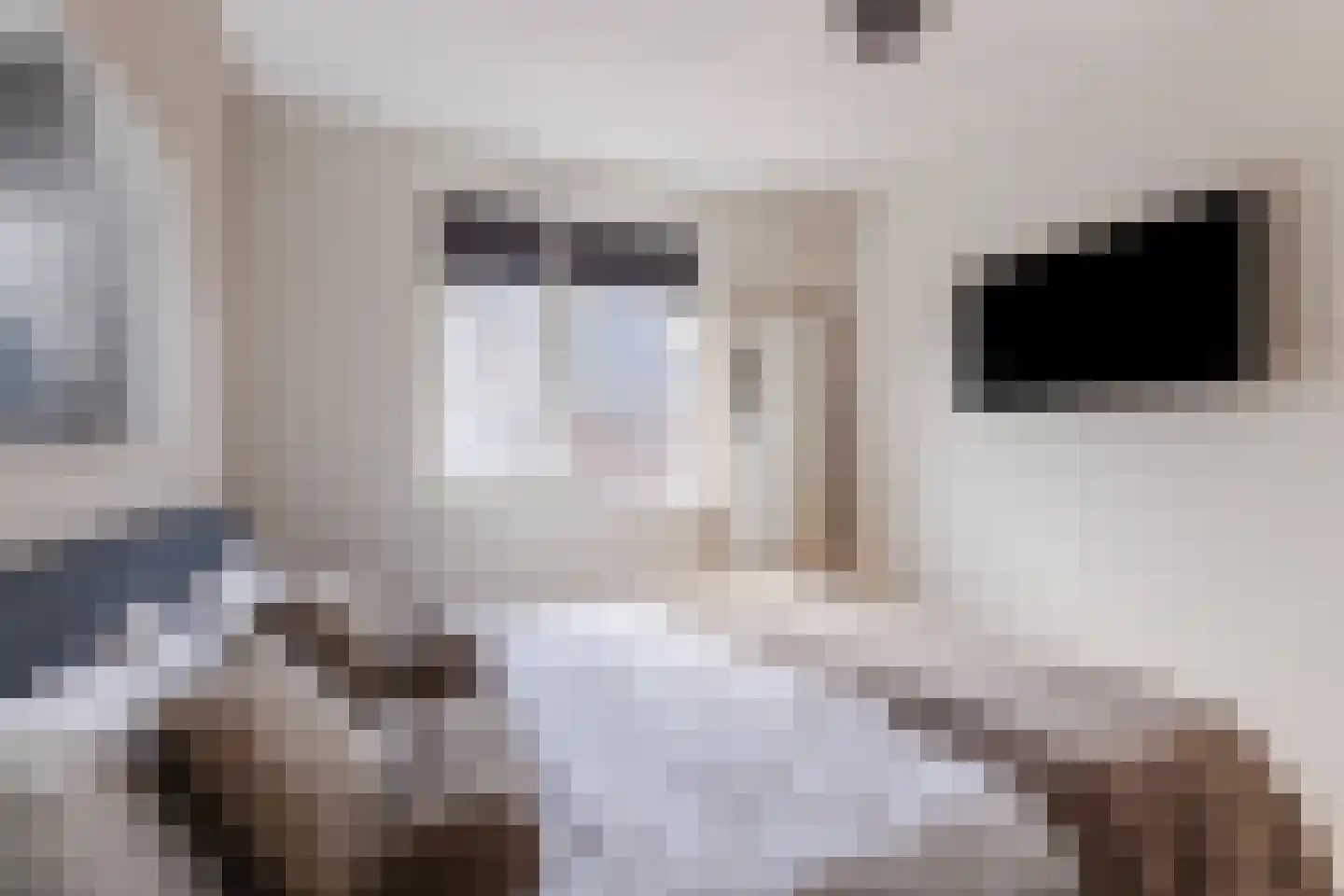 Koekoeksbloem 5 Dongen thumbnail 30