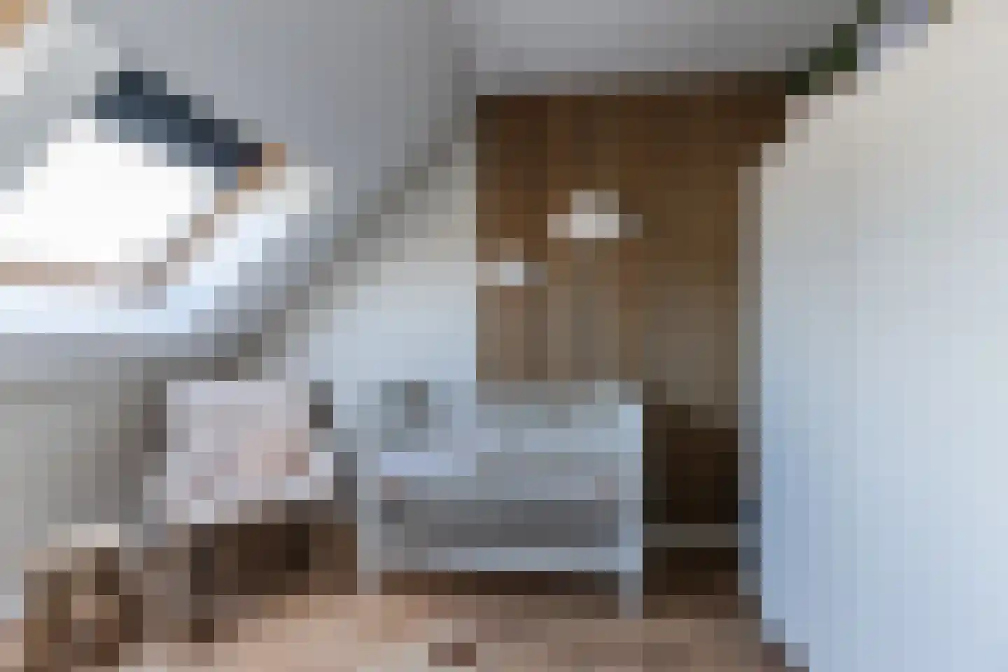 Koekoeksbloem 5 Dongen thumbnail 32