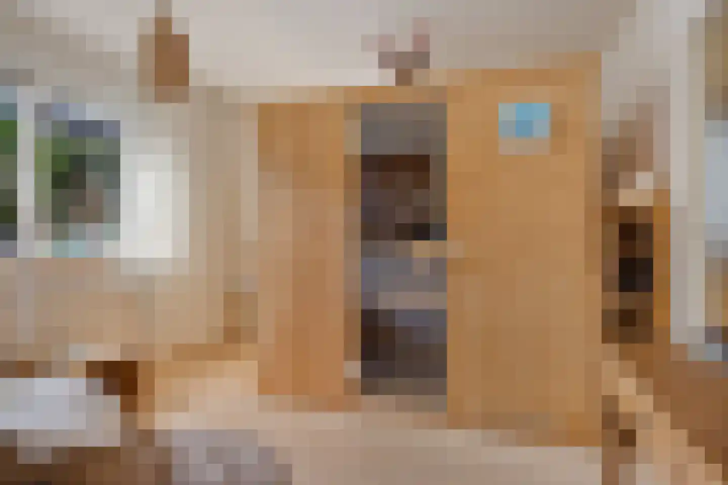 Koekoeksbloem 5 Hardenberg thumbnail 10