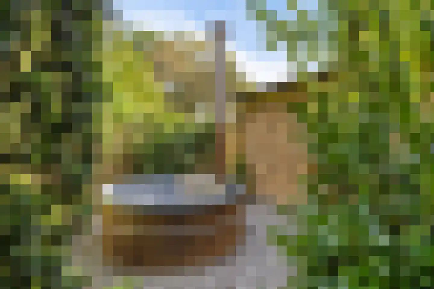 Koekoeksbloem 5 Hardenberg thumbnail 11