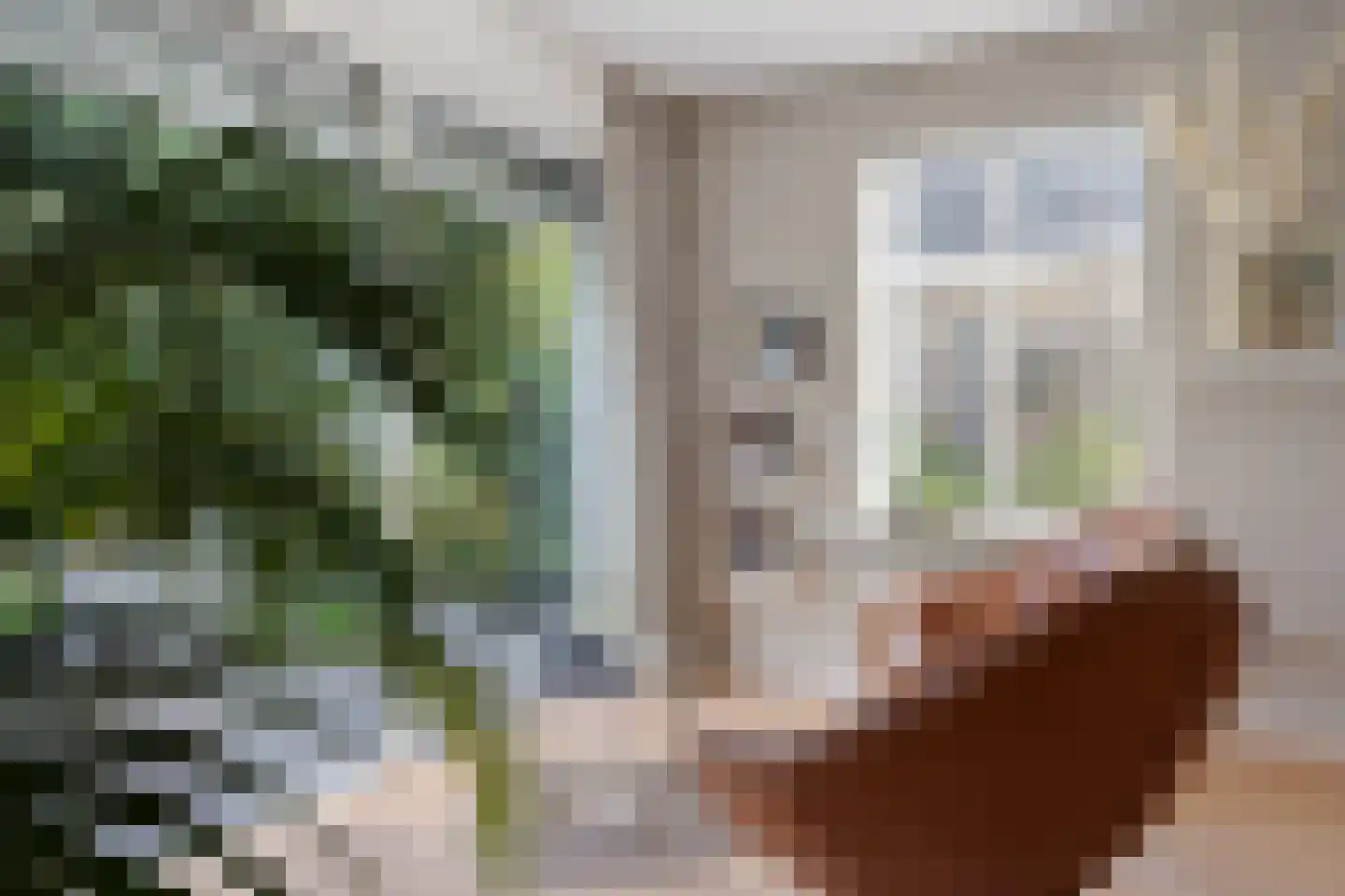 Koekoeksbloem 5 Hardenberg thumbnail 15