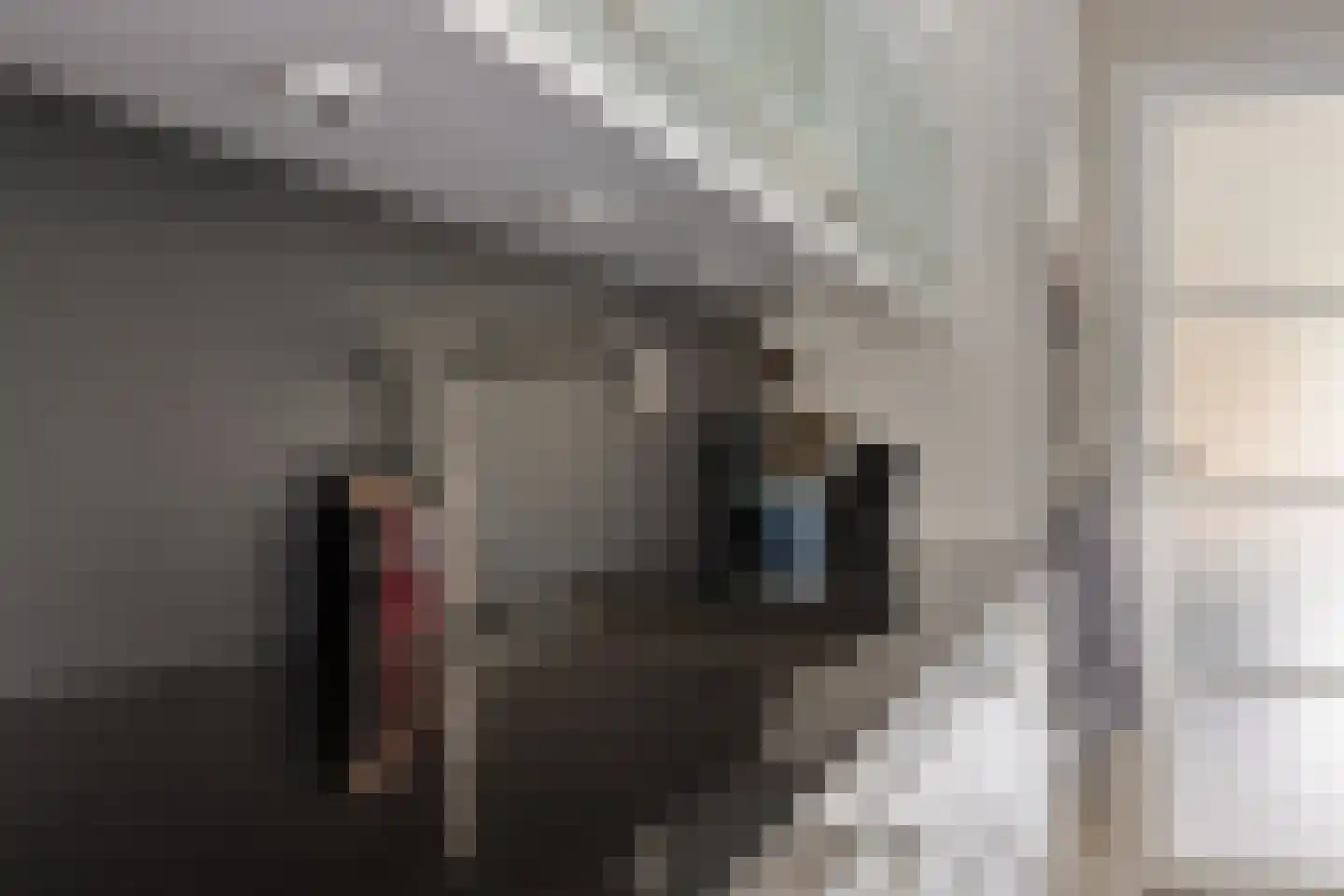 Koekoeksbloem 5 Hardenberg thumbnail 20
