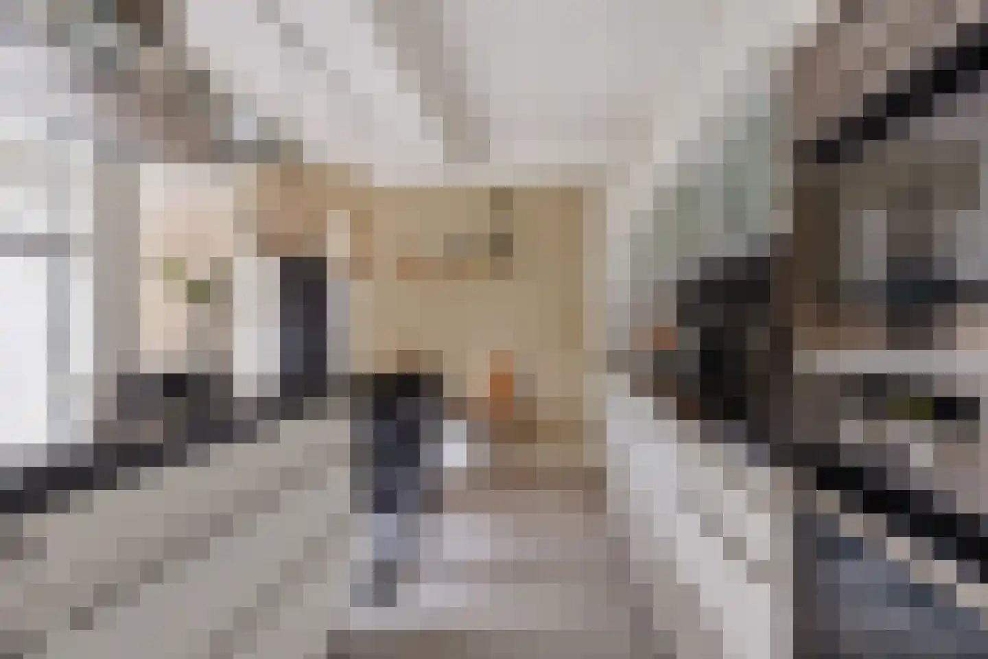 Koekoeksbloem 5 Hardenberg thumbnail 23