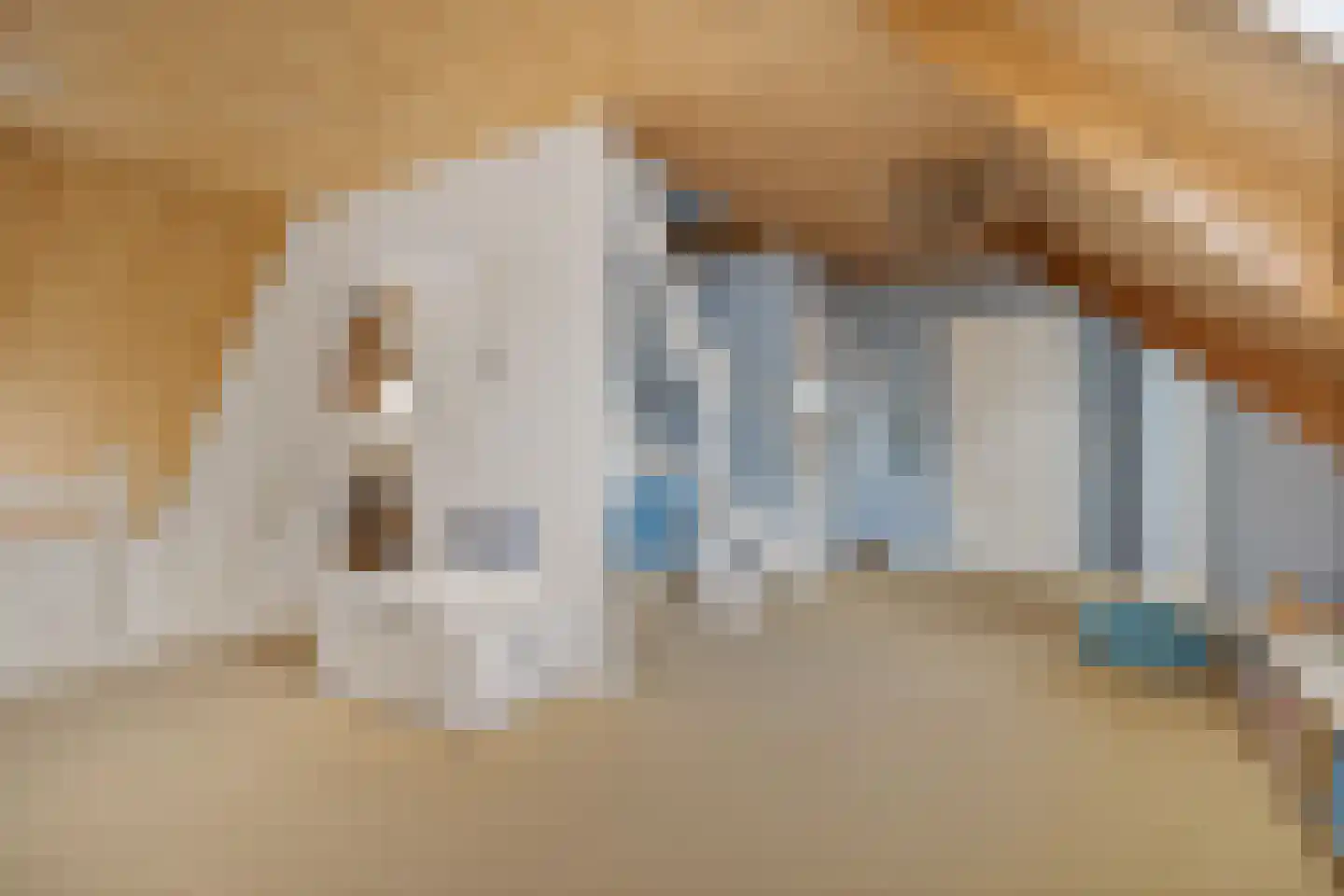 Koekoeksbloem 5 Hardenberg thumbnail 34